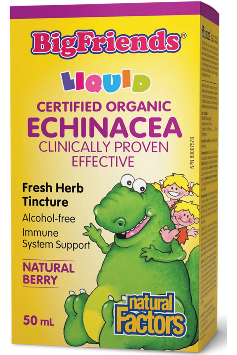 Big Friends - Echinacea Fresh Herb Tincture Alcohol-free (50 ml)