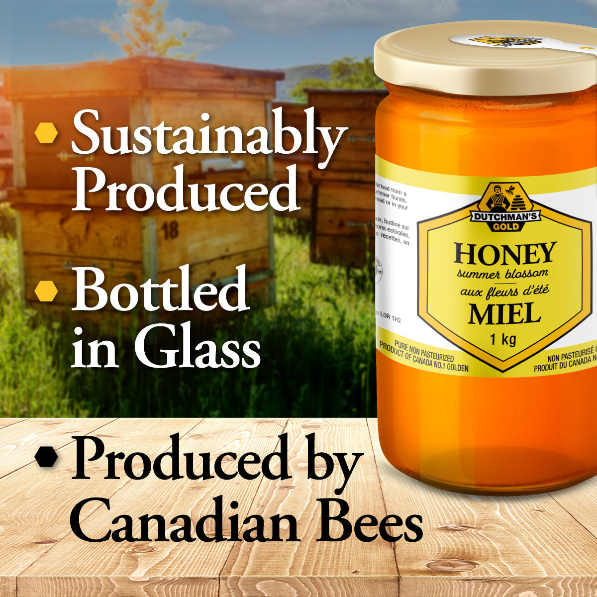 DUTCHMAN'S GOLD Summer Blossom Honey