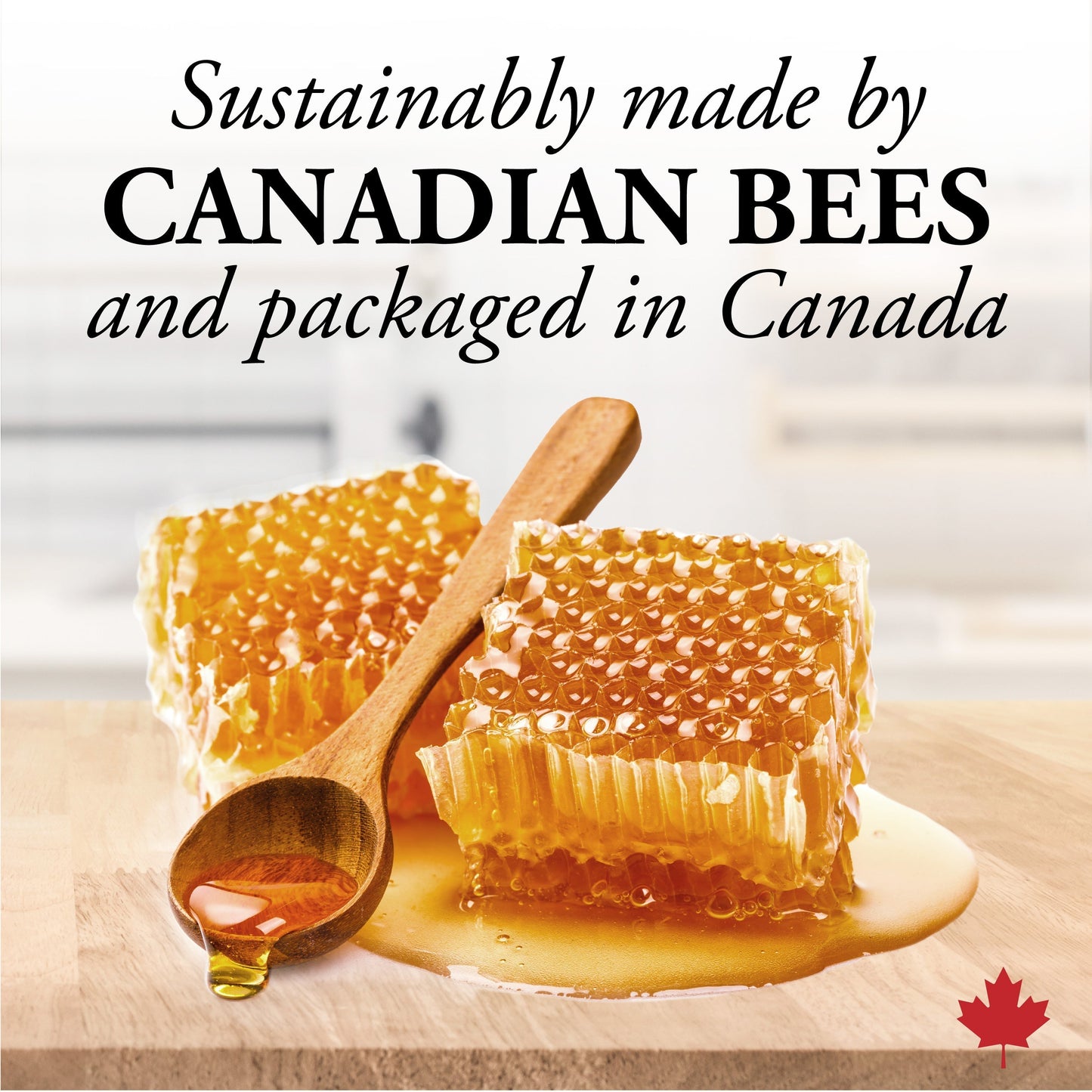 DUTCHMAN'S GOLD Comb Honey 250 g