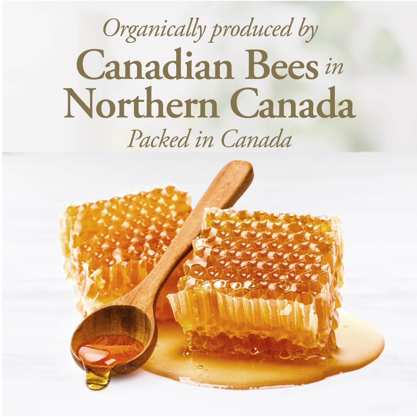 DUTCHMAN'S GOLD Organic Liquid Honey 330 g