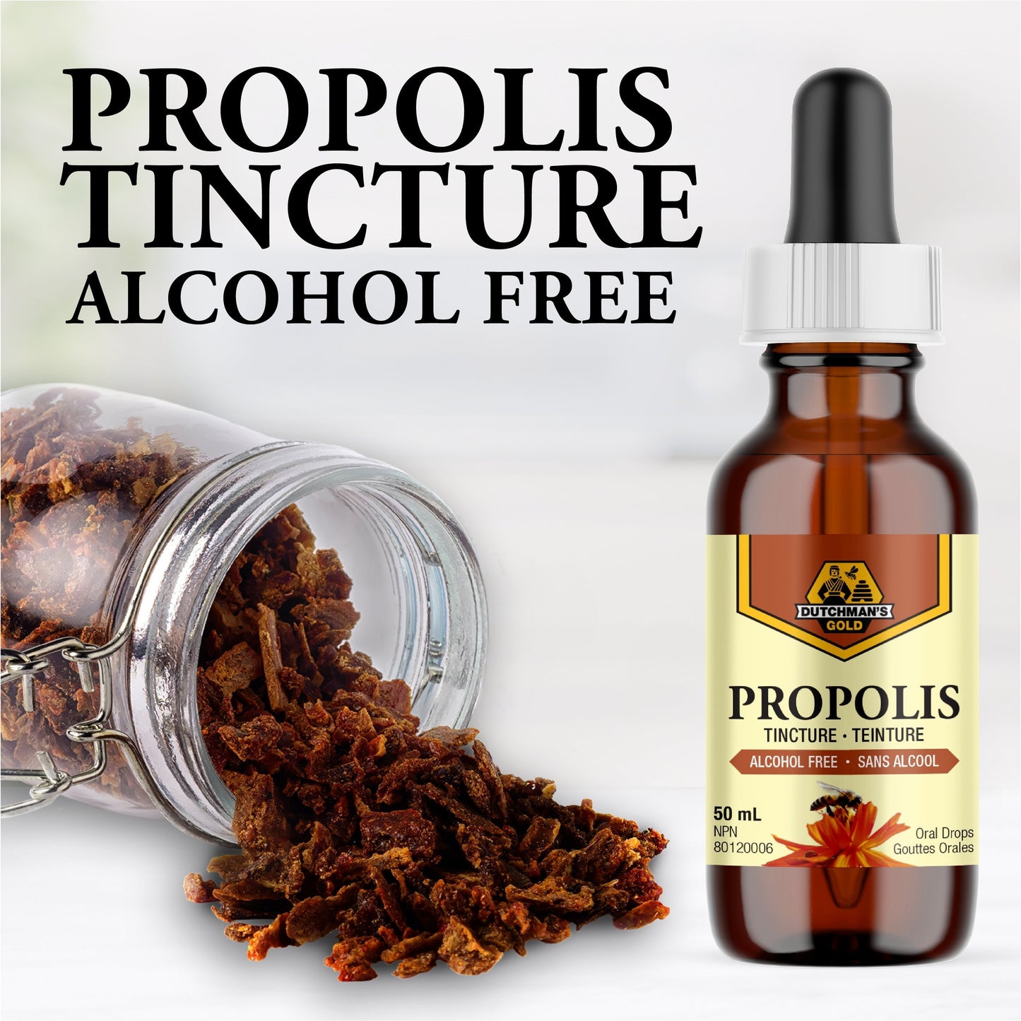 DUTCHMAN'S GOLD Propolis Tincture - Alcohol Free 50 ml