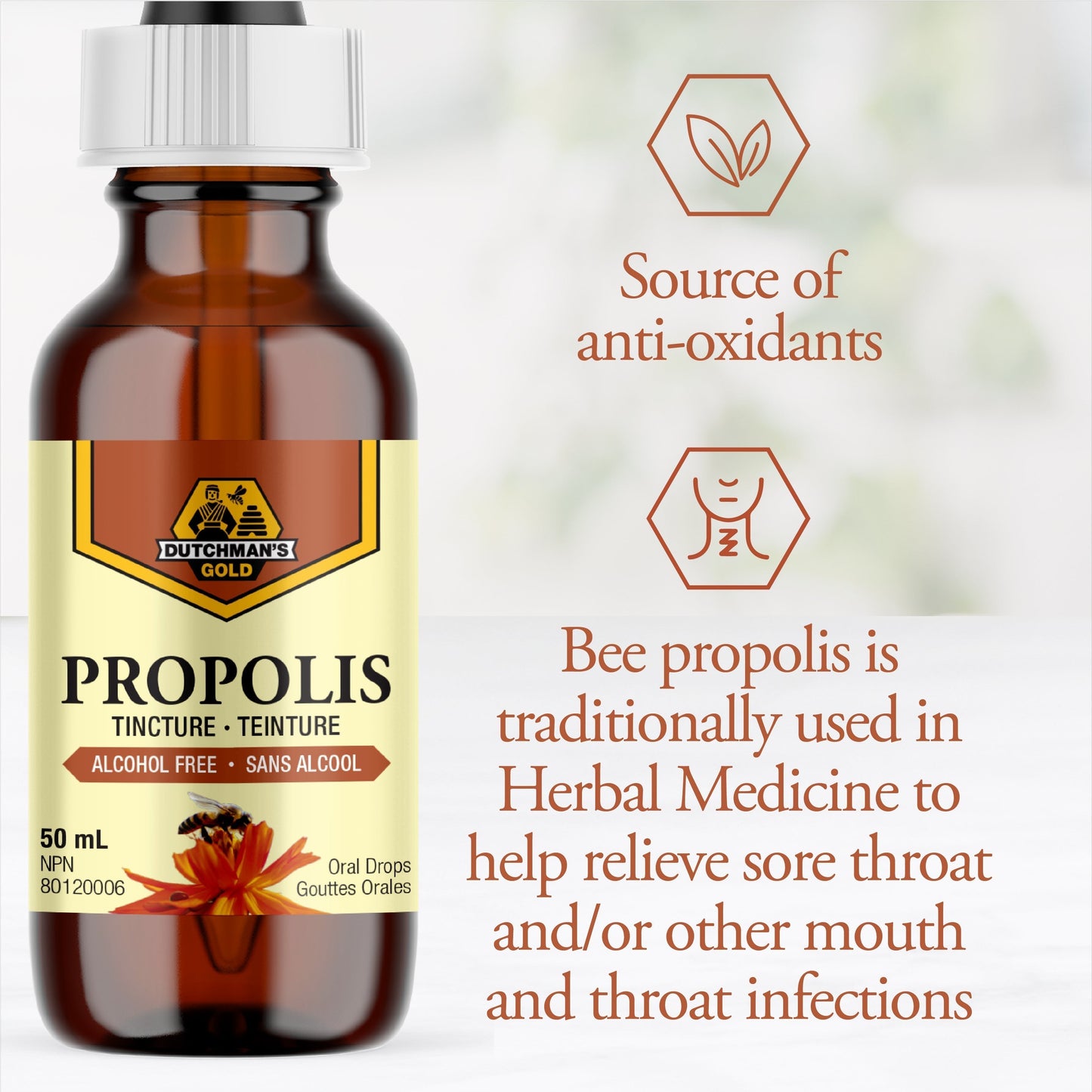 DUTCHMAN'S GOLD Propolis Tincture - Alcohol Free 50 ml
