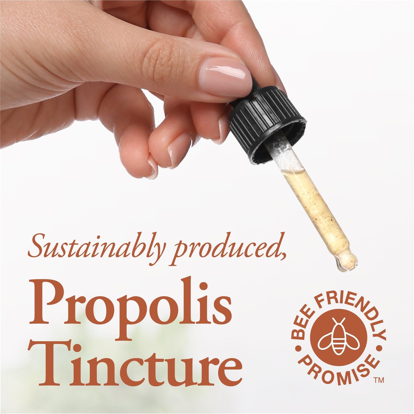 DUTCHMAN'S GOLD Propolis Tincture - Alcohol Free 50 ml