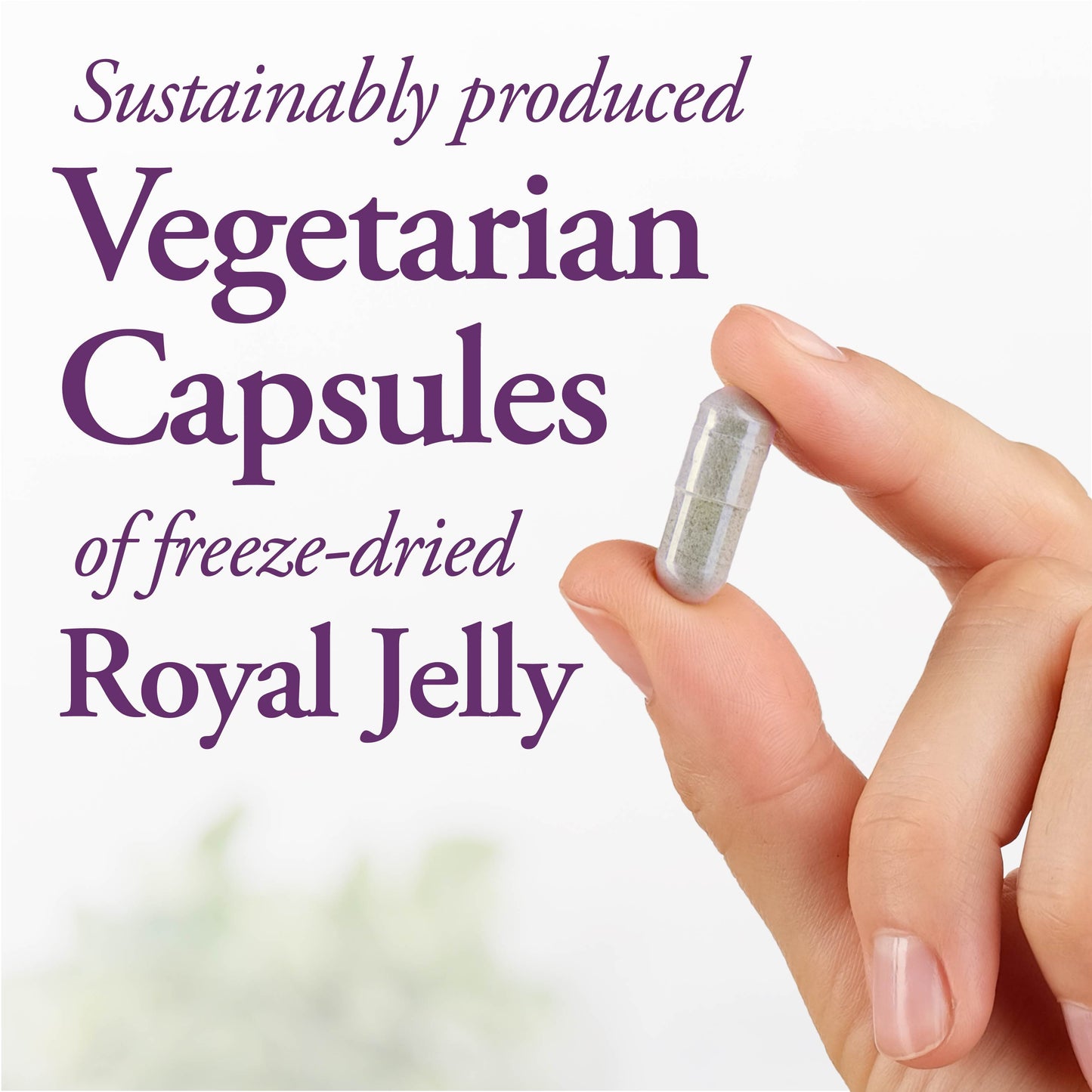 DUTCHMAN'S GOLD Royal Jelly Capsules (1000 mg - 90 Cap)
