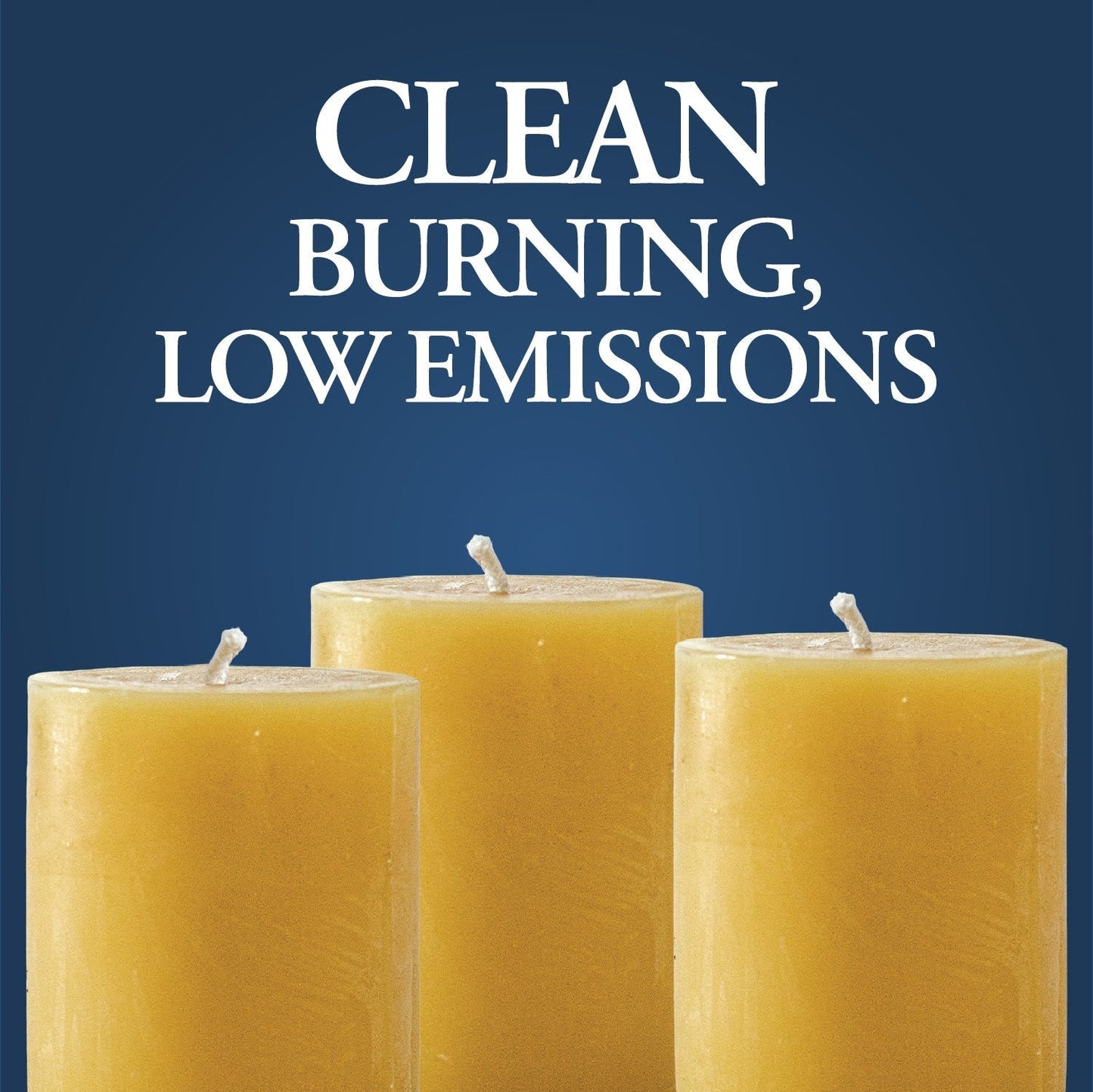 DUTCHMAN'S GOLD Beeswax Votives