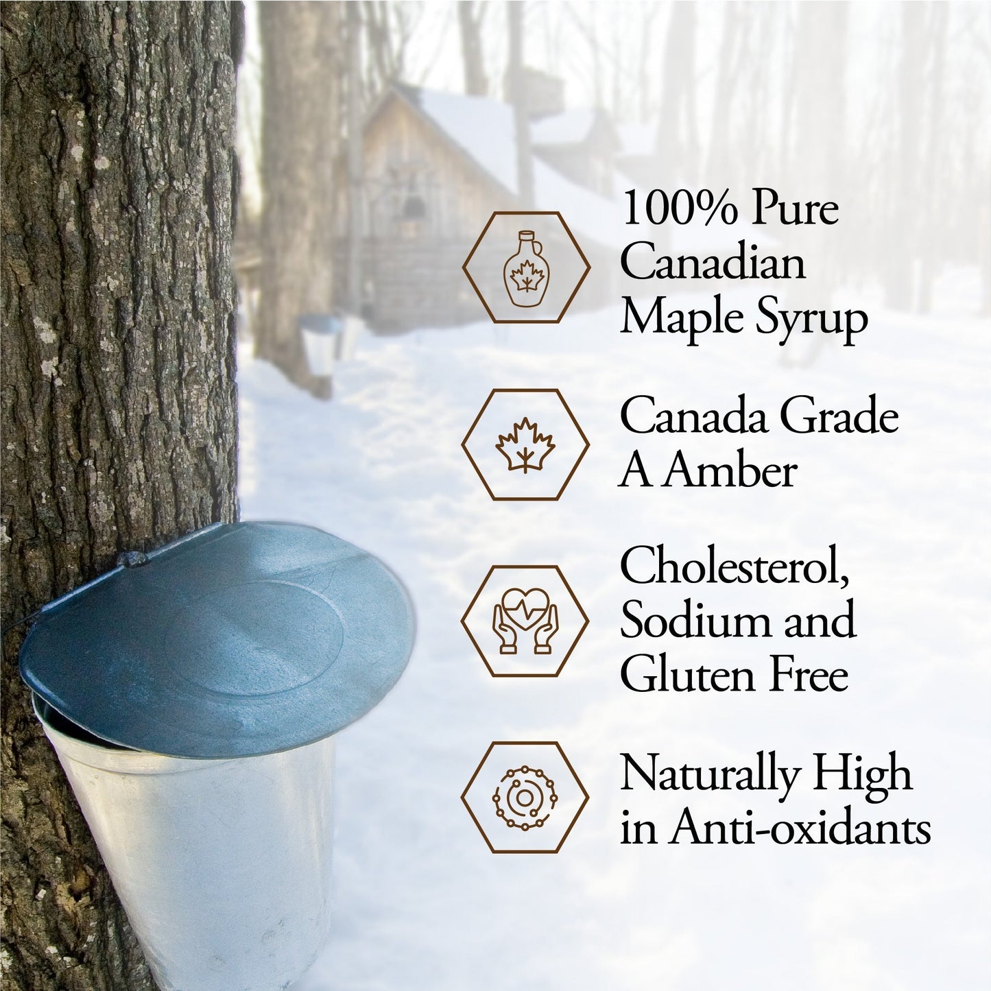 DUTCHMAN'S GOLD Maple Syrup